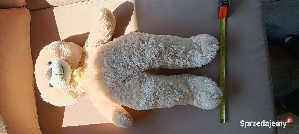 Maskotka miś kujawsko-pomorskie Włocławek sprzedam