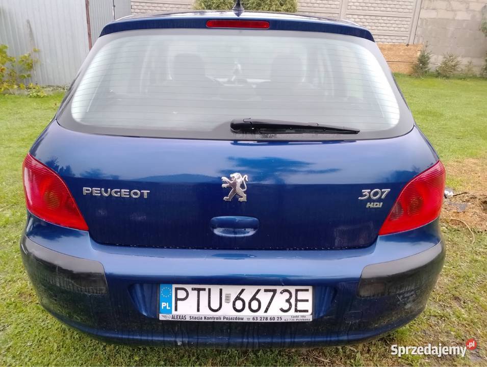 Peugeot 307 20HDi diesel wielkopolskie
