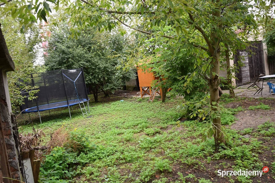 Syndyk sprzeda udział 12 Al Wojska Polskiego 852m2 Sprzedaż Ostrołęka