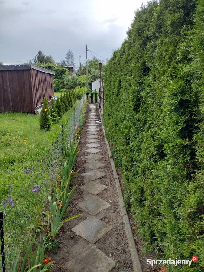 Działka ROD z domkiem 2025 Aleksandrów Kujawski