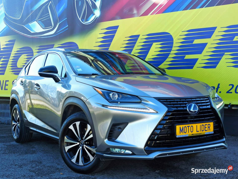 Lexus NX bezwypadkowy 4x4 serwis I 20142021 Rzeszów
