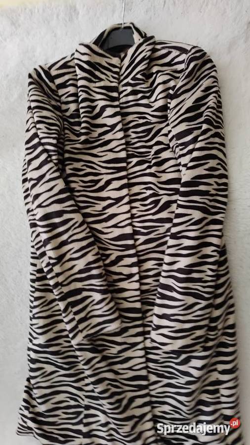 Zebra by Isabell Kristensen Grudziądz