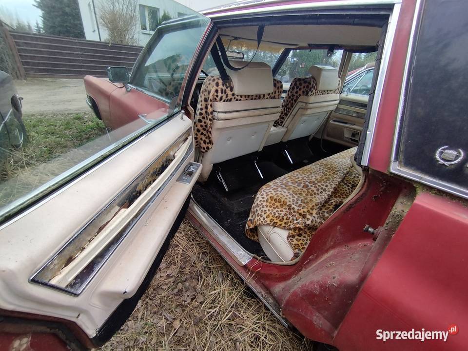 1969 Cadillac Fleetwood Series 60 special benzyna