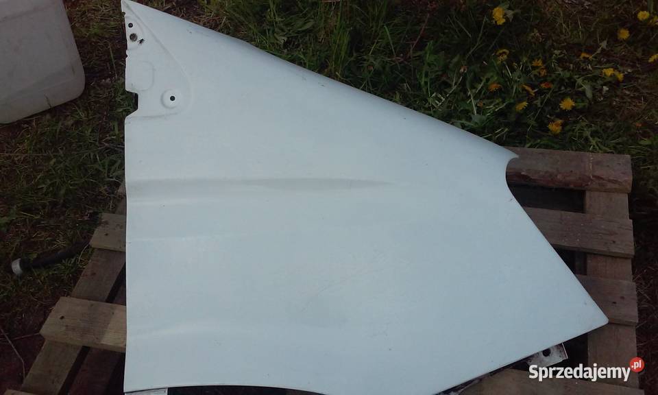 Błotnik biały przedni prawy Iveco Daily 2013r części blacharskie Tur