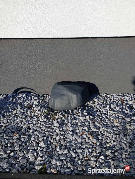 Monitoring obecności szkodników zgodny z HACCP wielkopolskie