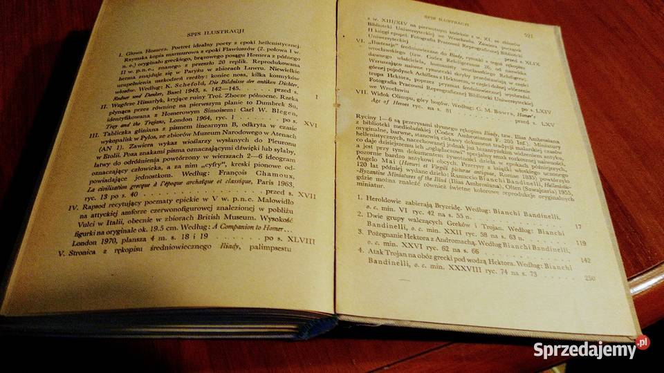 Iliada Homer Biblioteka Narodowa Seria 2 17 Gdańsk