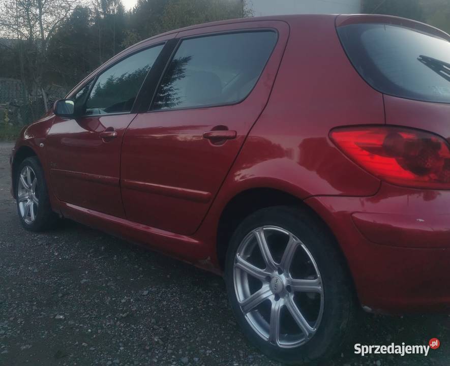 Peugeot 307 16 hdi 2007 małopolskie