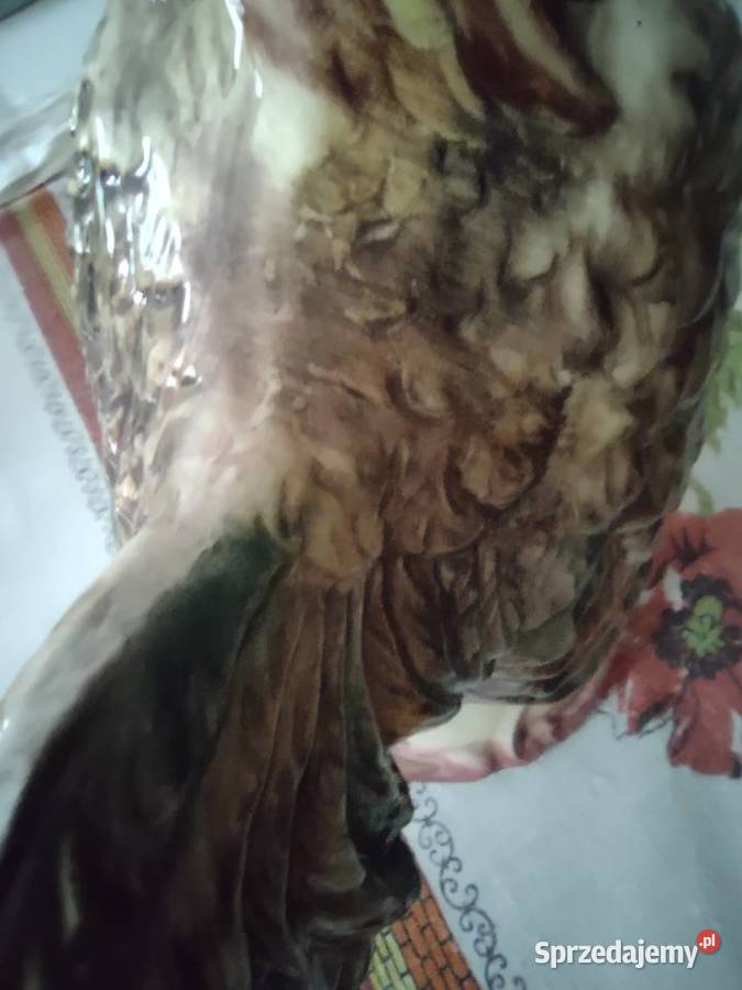 Ceramika Kogut Made in Italy