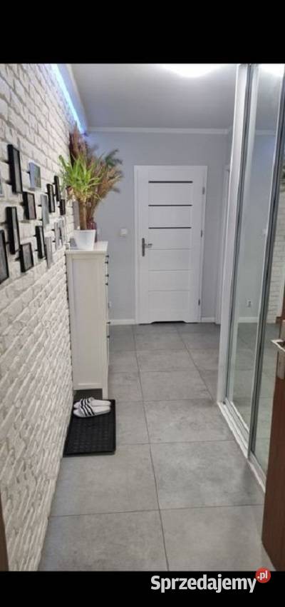 3pok 62met Kurlandzkiej OGRÓDKOMÓRKA2MP Wrocław pom. użytkowe dolnośląskie