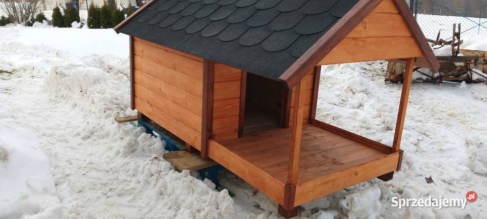 Buda dużego psa podkarpackie