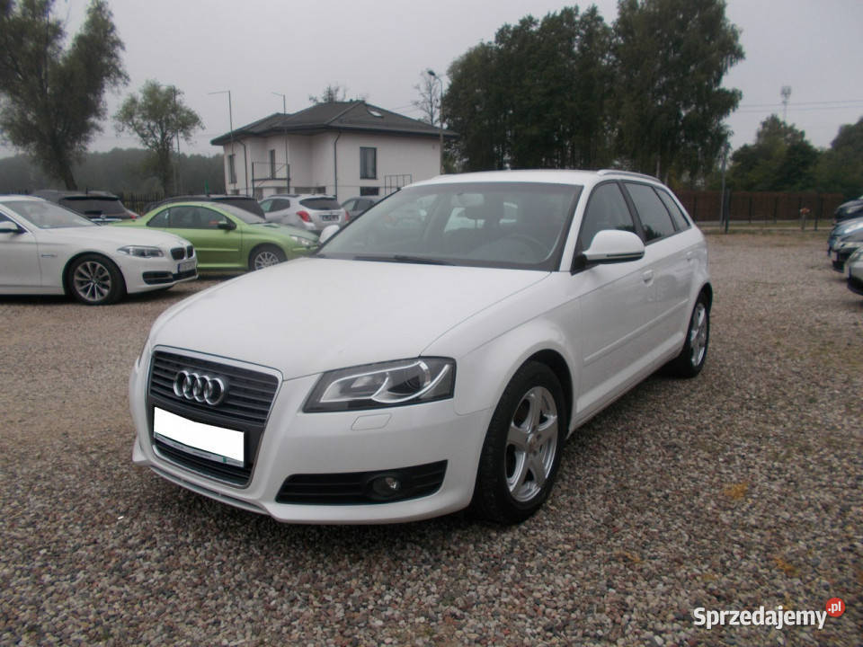 Audi A3 14 Turbo Benzyna 125Klima 158 8P 2003201 światła przeciwmgielne Białystok