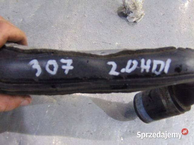RURA DOLOT POWIETRZA 307 20 HDI 9631719080A wielkopolskie sprzedam