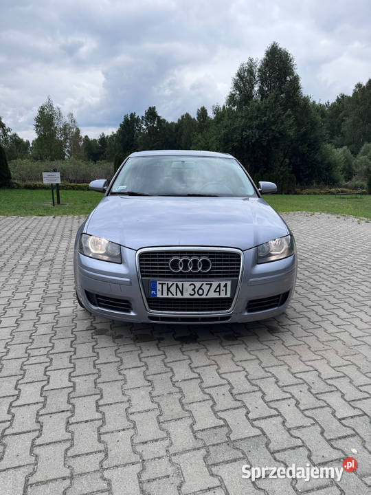 Audi A3 8P 19Tdi A3 Królewiec Poprzeczny sprzedam