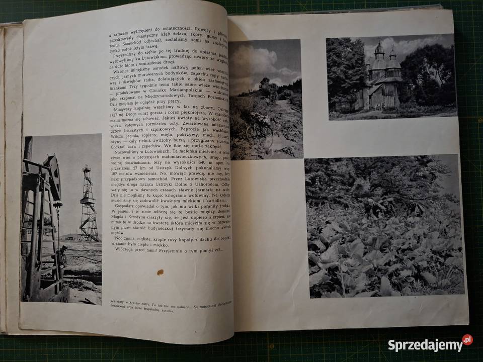 W dolinie Sanu St Pagaczewski Aleksander Haupt małopolskie Kraków