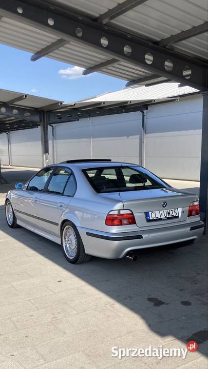 BMW gniazdo SD Lipno