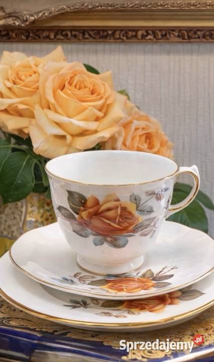Porcelana zdobiona motywem róż Pabianice sprzedam