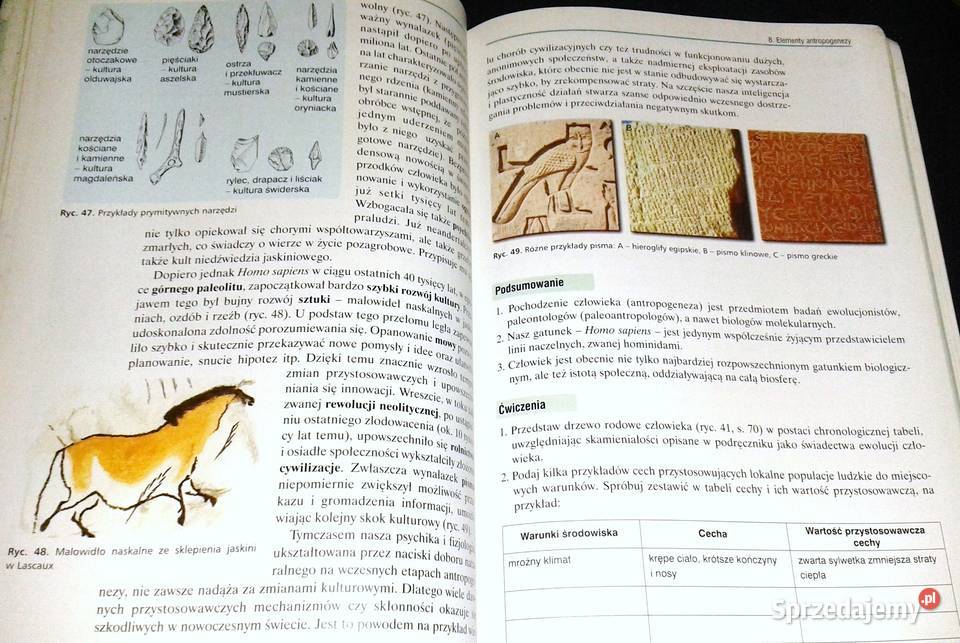 Biologia 2 Podręcznik Jacek Balerstet Ewa Pozostałe Chełm