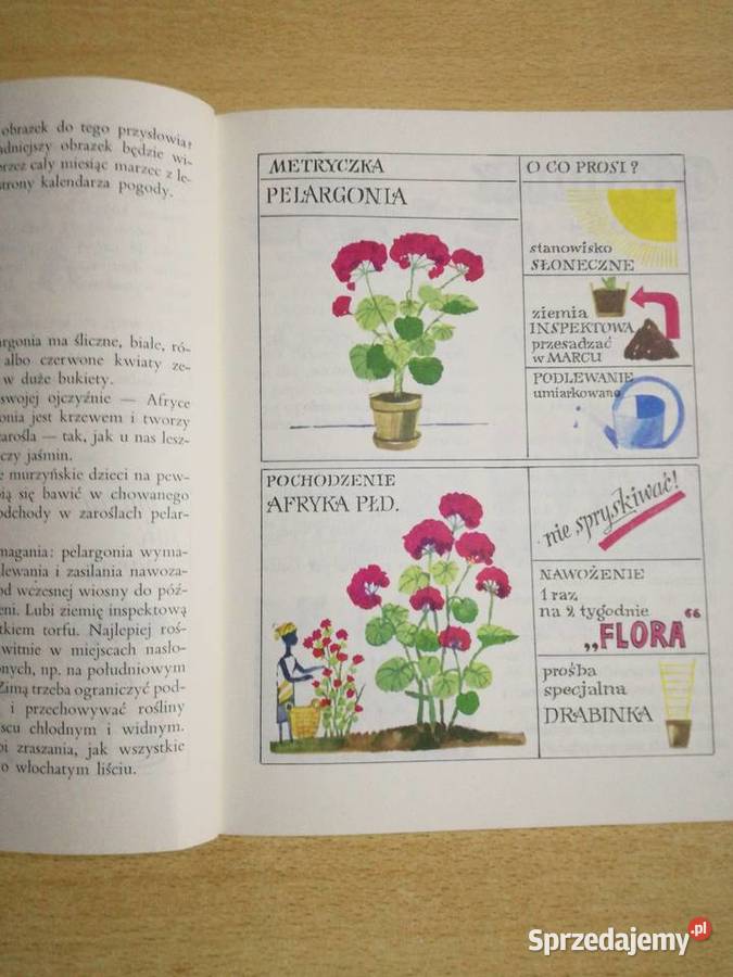 Razem ze Słonkiem Przedwiośnie tom 1 Książki dla dzieci lubelskie