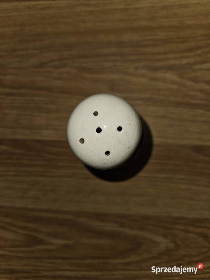 0108Przyprawniki w kwiaty z Włocławka Bydgoszcz sprzedam