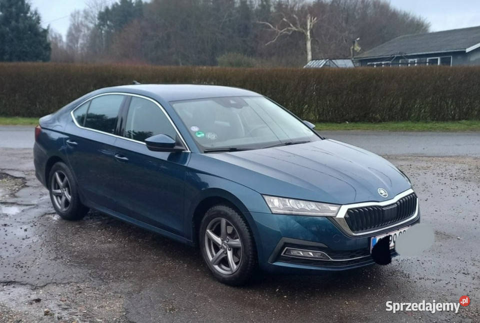 koda Octavia 20 benzyna 190hp DSG IV 2020 Sadlno