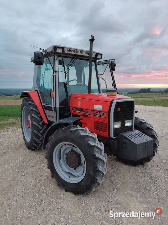 Massey ferguson 3065 Bogoria