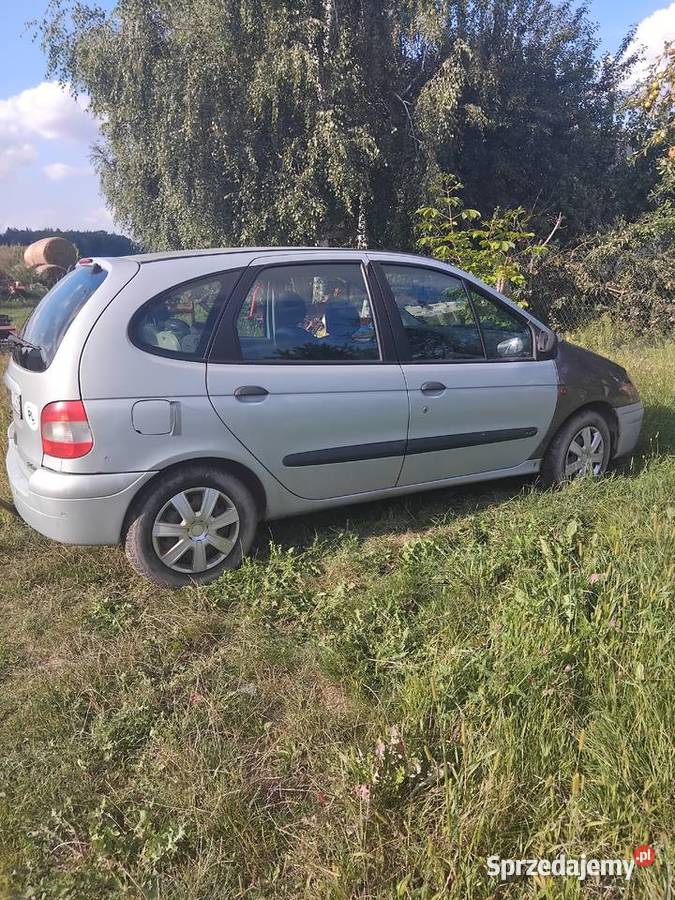 Renault Megane Scenic19 diesel Rok produkcji 2001 Siemień sprzedam