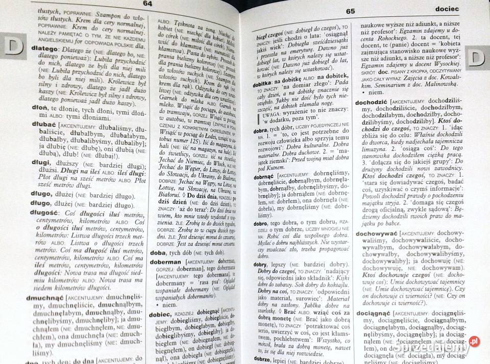 Szkolny słownik poprawnej polszczyzny Magdalena