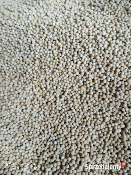 Groch Astronaute i Ostinato