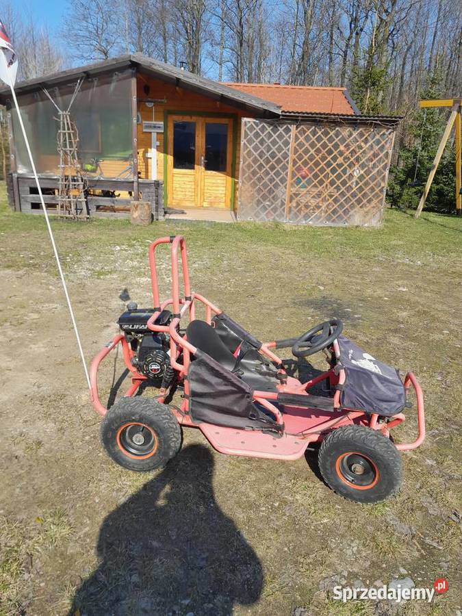 gokardqad dzieci warmińsko-mazurskie sprzedam