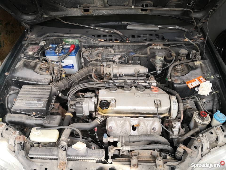 Honda Civic Coupe V generacji PROTEC Kielce