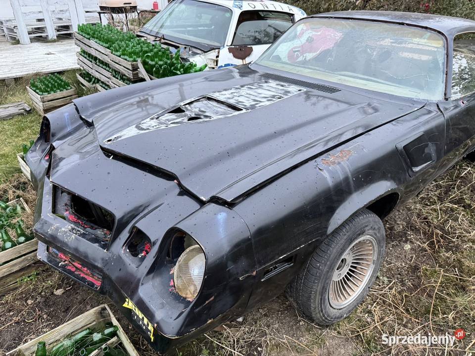 1978 Chevrolet Camaro Z28 188KM Bydgoszcz