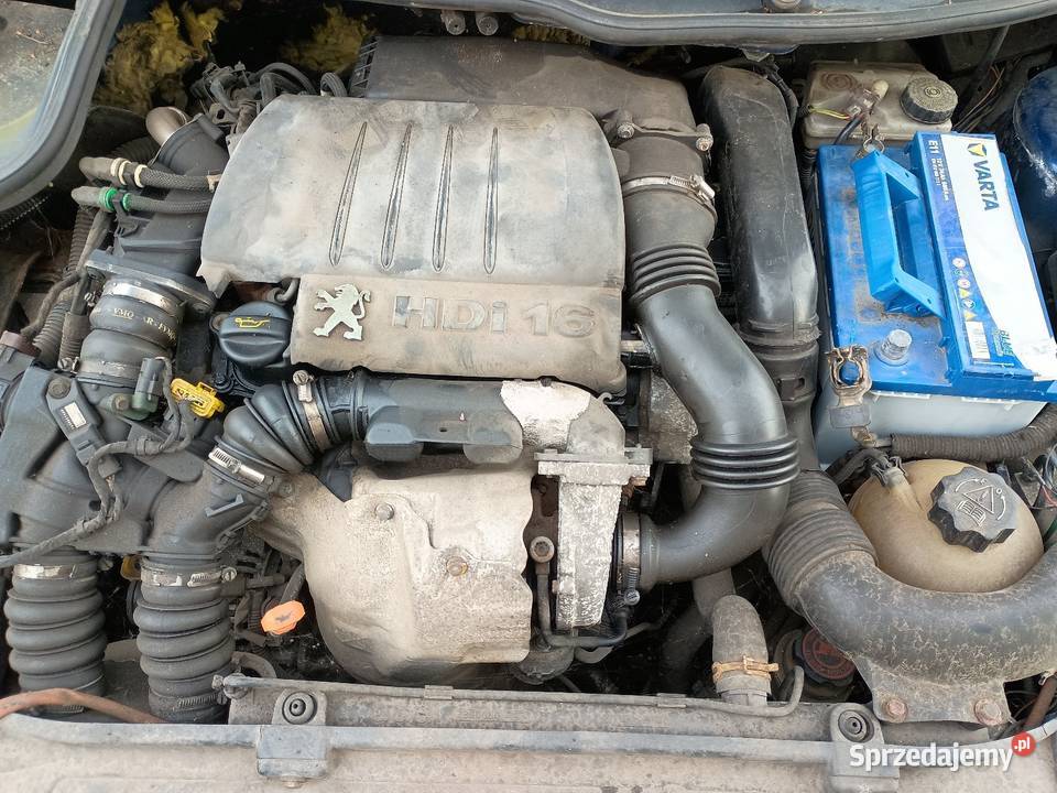 Silnik 16 HDi 109 Peugeot 9HZ citroen Ford volvo Radzionków
