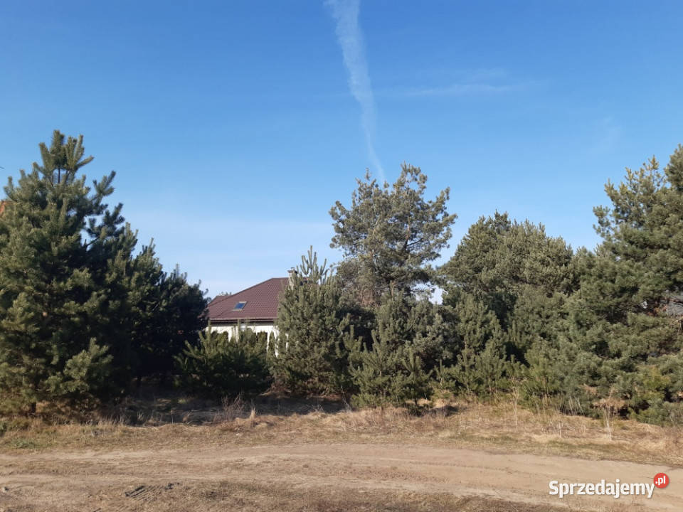 Działka w Niewodnicy Koryckiej 813m2 Sprzedaż Niewodnica Korycka