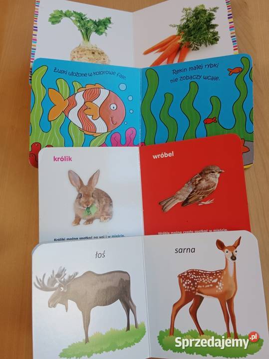 Książeczki małe zestaw