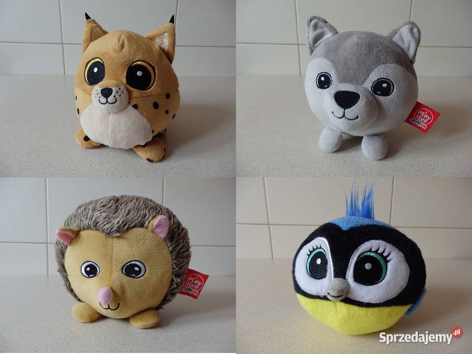 Gang Świeżaków Kolekcja 16 sztuk Nowe Rzeszów