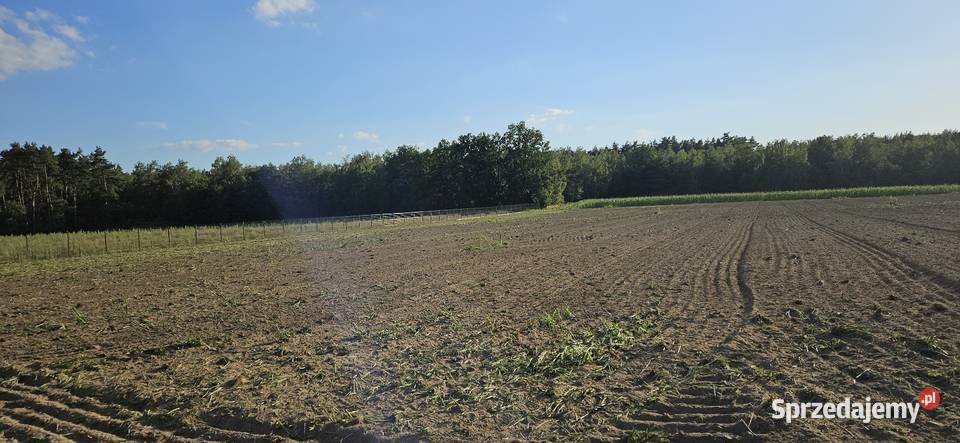 Działka budowlana las i jezioro 1162 m2 MPZP 2 0zł/m2 Nowy Dwór sprzedam