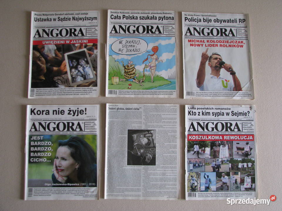 Angora tygodnik 2018 r tygodnik Brzegi