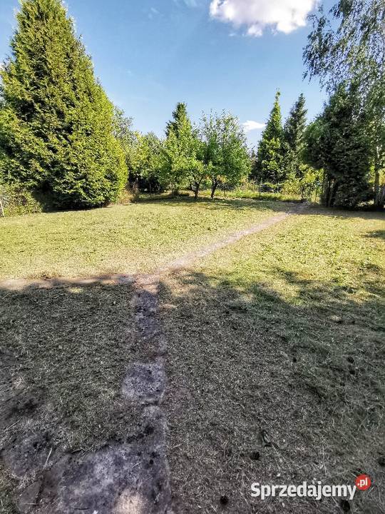 Koszenie KOSĄ SPALINOWĄ działek ogrodów wysokiej Częstochowa prace ogrodowe