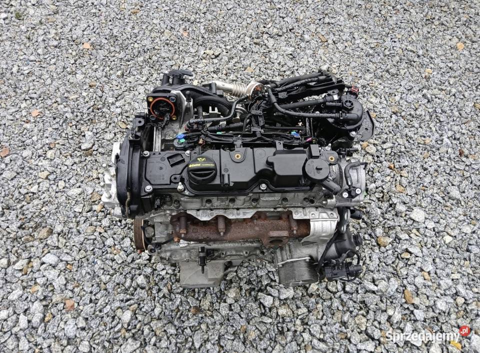 Ford Transit Connect 15 TDCI Ecoblue Silnik osobowe Oleśnica