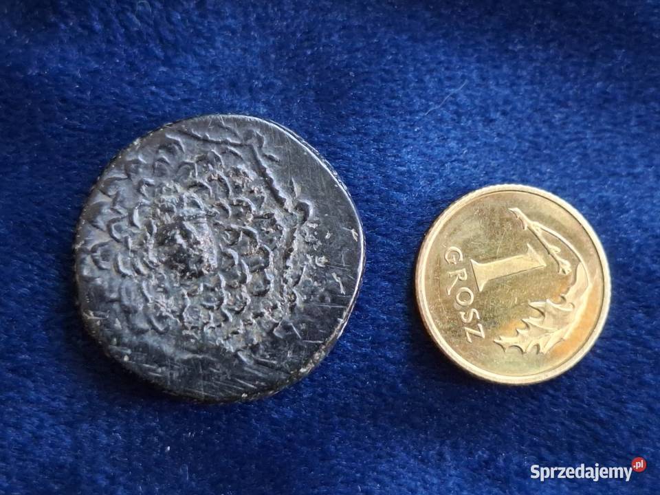 Starożytna Grecja moneta z Pontu Amisos I w pne