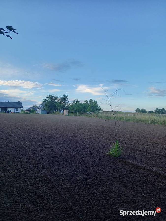 Usługi glebogryzarka separacyjna przygotowanie Projektowanie i zakładanie ogrodów Maciejowice