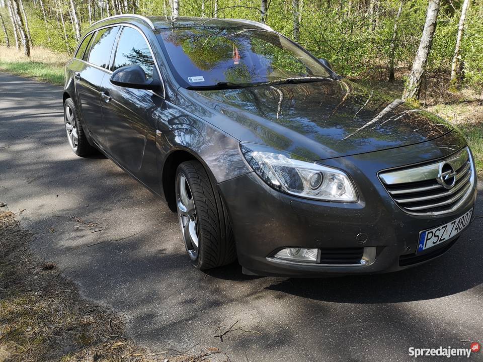 Opel Insignia Cosmo flexridezamiana Motoryzacja wielkopolskie Obrzycko