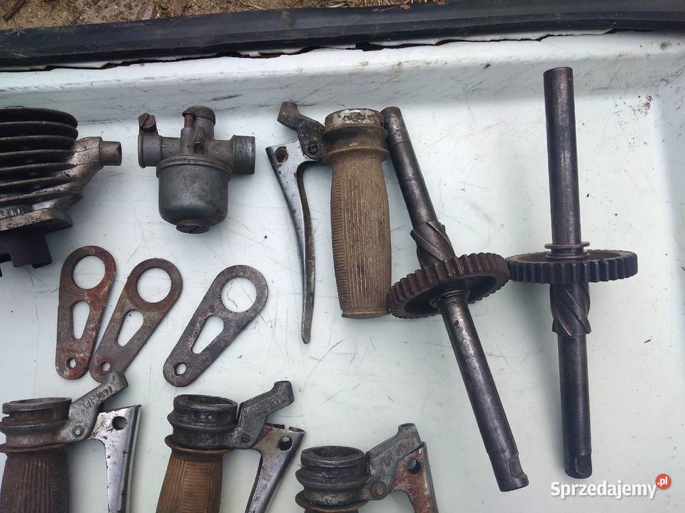 części komar sztywniak żak ryś Lututów