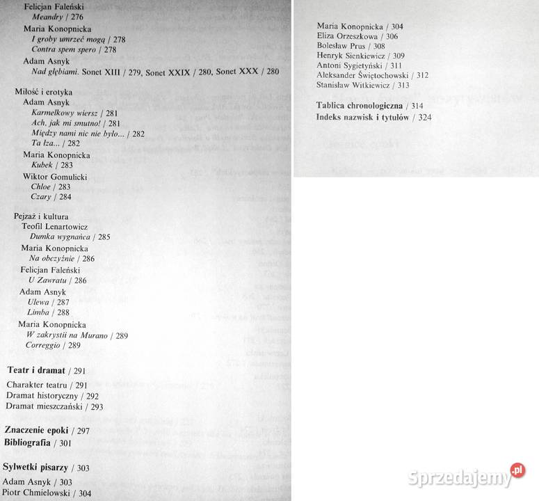 Pozytywizm Podręcznik Tadeusz Bujnicki miękka lubelskie Chełm