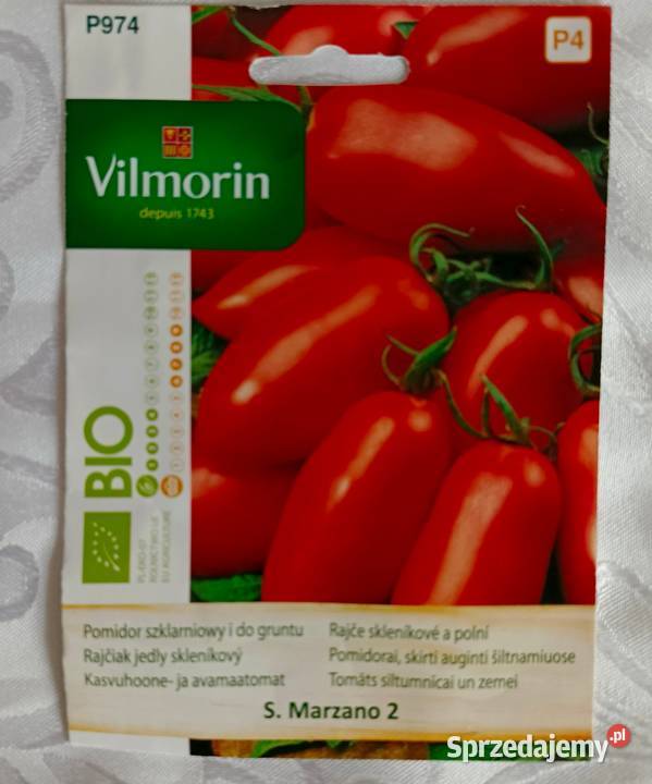 Sadzonki pomidorów Bio łódzkie Łódź sprzedam