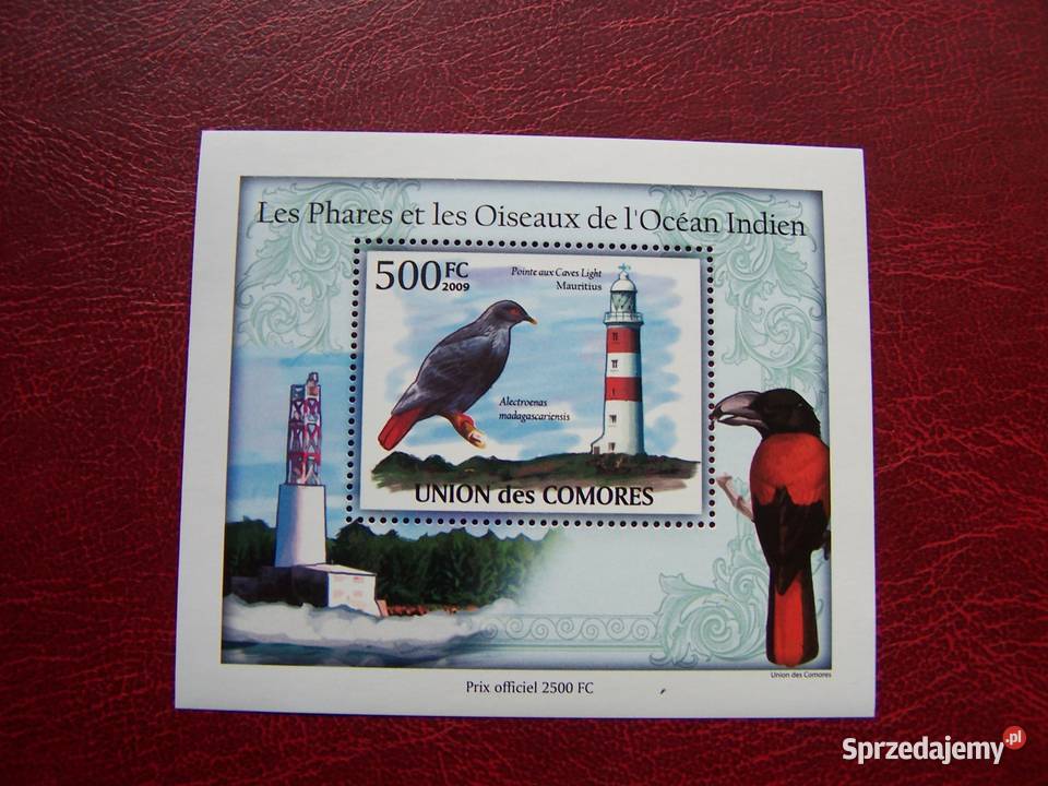 Komory 2009 MNH Ptaki wybrzeża Tychy