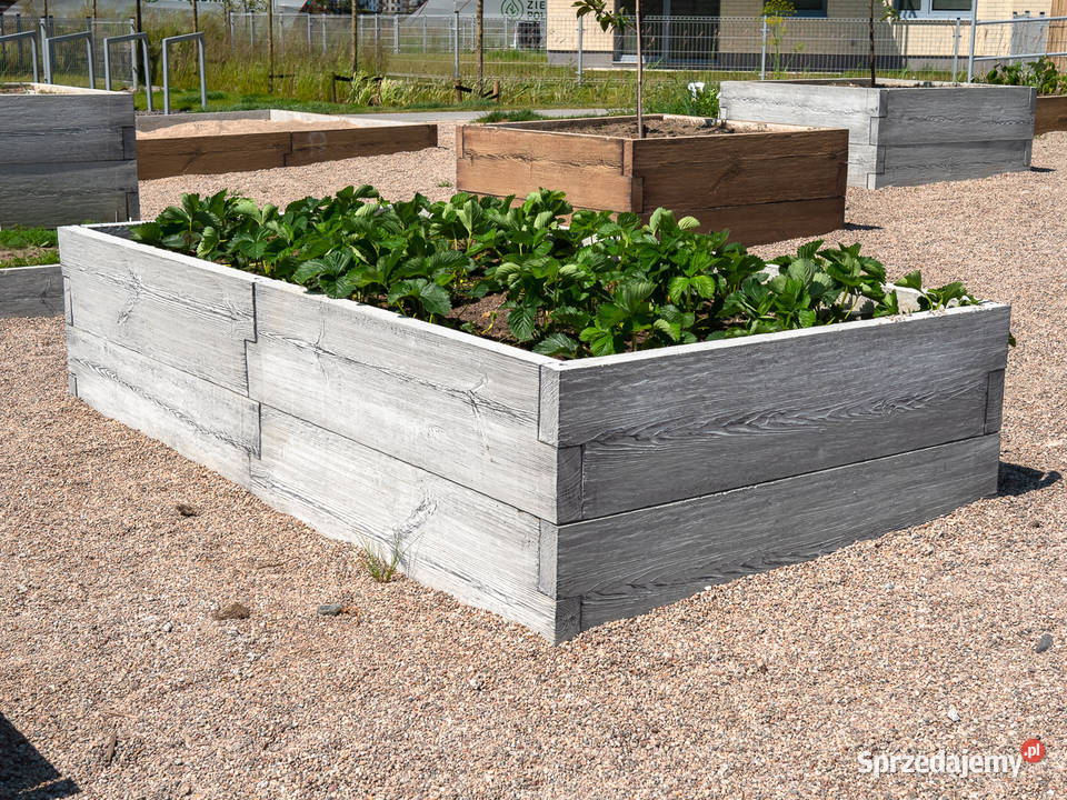 Warzywnik betonowy Skrzynia na warzywa Rabata Łódź