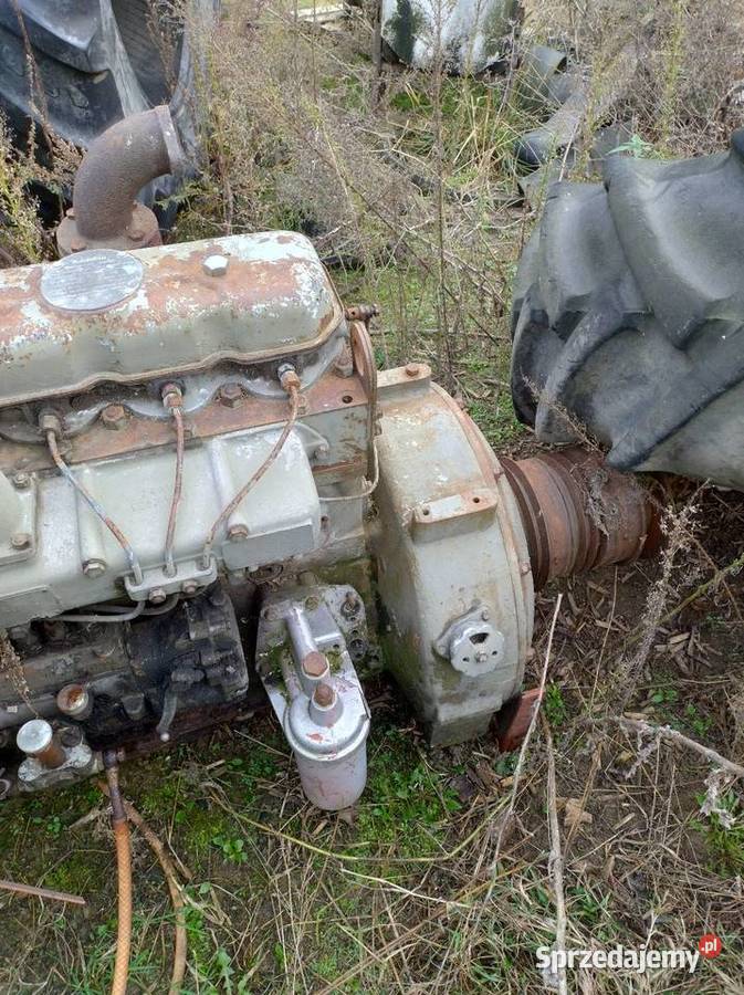 Silnik do bizona Przasnysz