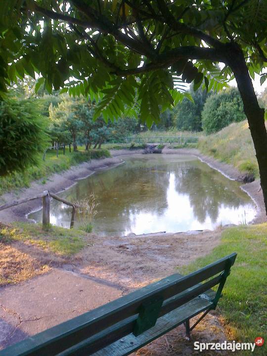 Sprzedam siedlisko 5000m2 Nieruchomości Celestyny sprzedam