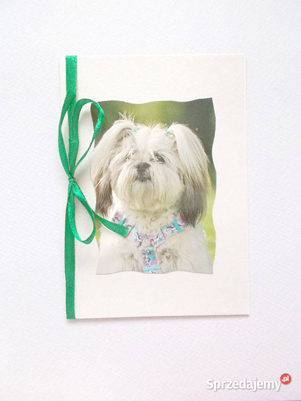 pies kartka zwierzęta kartki fajne kartki ze